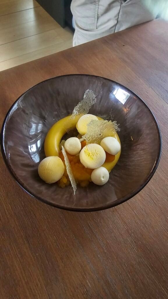 Dessert van tropisch fruit